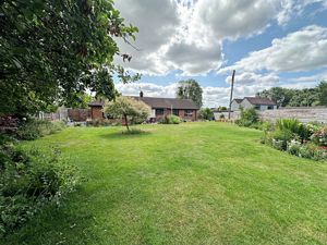 Garden 3- click for photo gallery